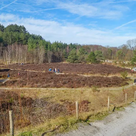 Klein Heemshof - Noord Holland Aan Uw Voeten Warmenhuizen