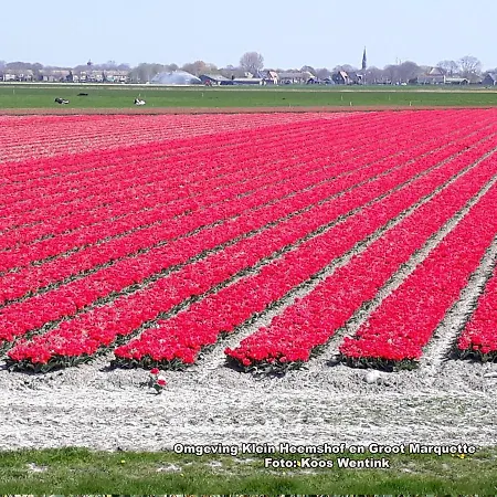 Klein Heemshof - Noord Holland Aan Uw Voeten Ferienhaus Warmenhuizen