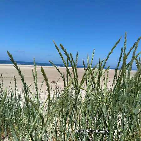 Klein Heemshof - Noord Holland Aan Uw Voeten Warmenhuizen