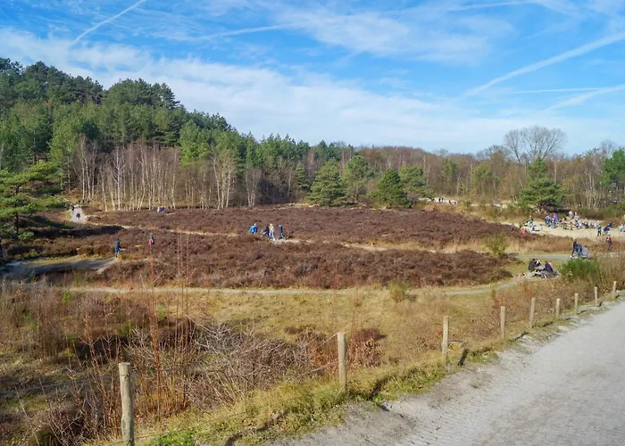 Klein Heemshof - Noord Holland Aan Uw Voeten Warmenhuizen