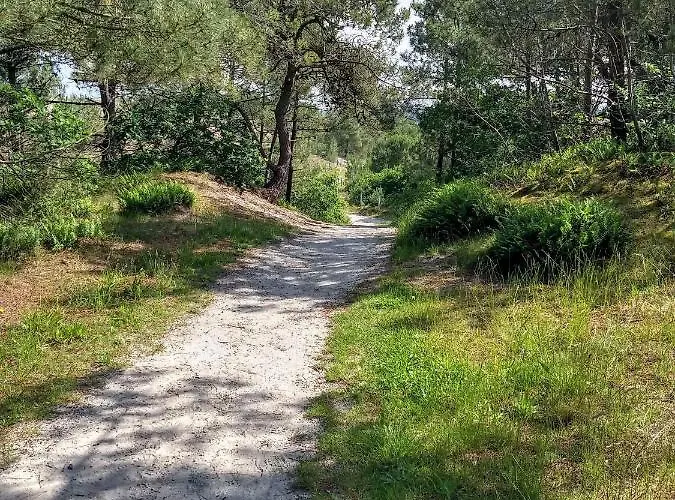 Klein Heemshof - Noord Holland Aan Uw Voeten Tatil Evi Warmenhuizen