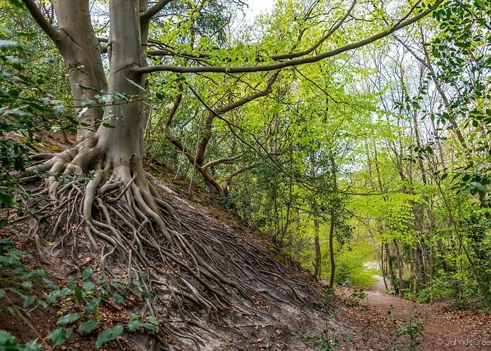 Klein Heemshof - Noord Holland Aan Uw Voeten Hébergement de vacances *