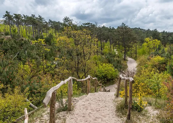Klein Heemshof - Noord Holland Aan Uw Voeten