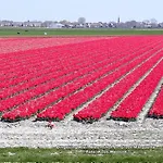 Klein Heemshof - Noord Holland Aan Uw Voeten Vakantiehuis Warmenhuizen